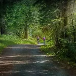 Piste Und Pedale , Deine Bude-dein Abenteuer *