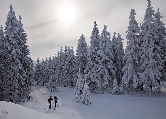 Piste Und Pedale , Deine Bude-dein Abenteuer Daire